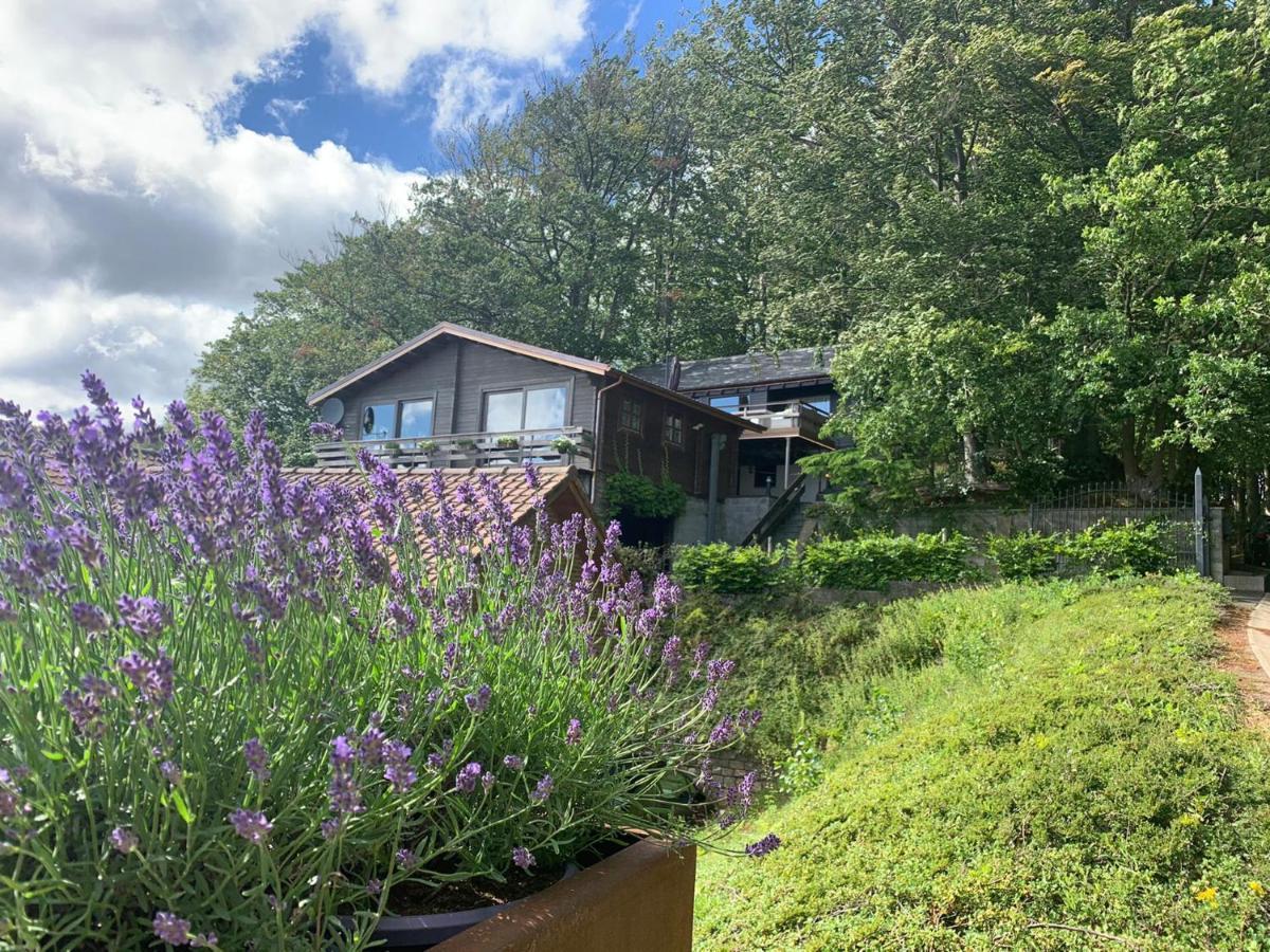 Chalet De La Sabliere Amougies 외부 사진